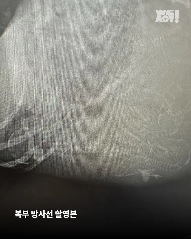 화성시보호소 현장 사진