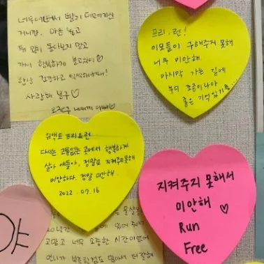 아침에 꼬리 흔들던 까만 개가…점심 전에 '해체.. 보도 사진
