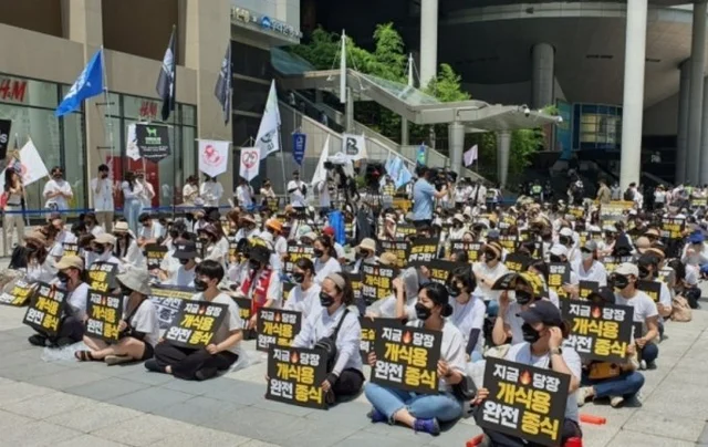 아침에 꼬리 흔들던 까만 개가…점심 전에 '해체.. 보도 사진