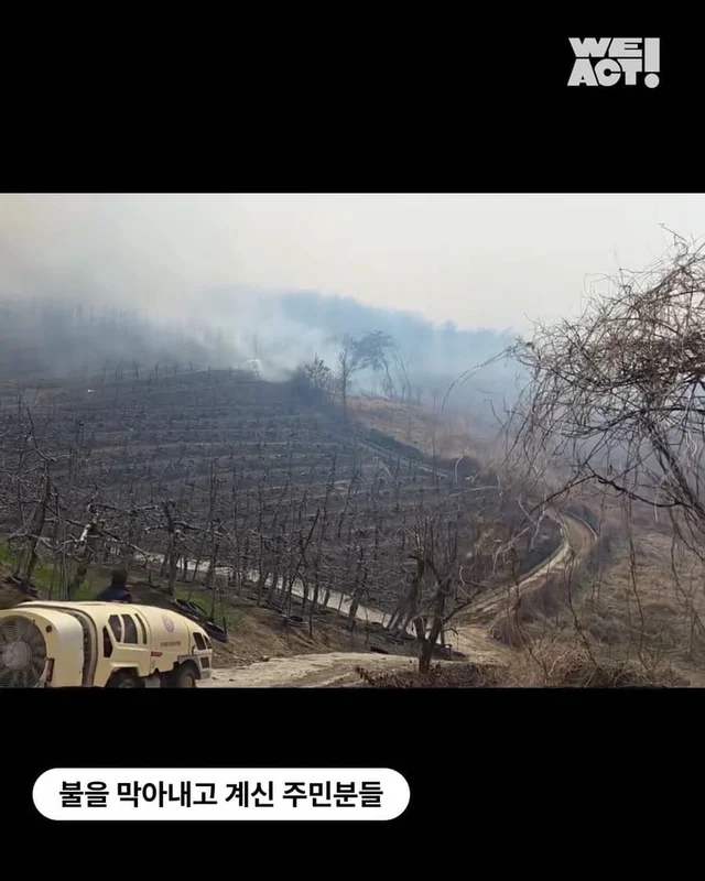 경북 산불 구조 현장 사진