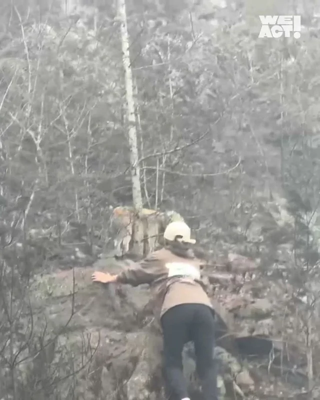 경북 산불 구조 현장 사진