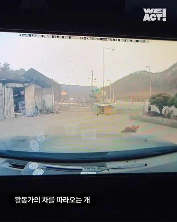 살아남아야 한다, 다시 한 번 현장 사진