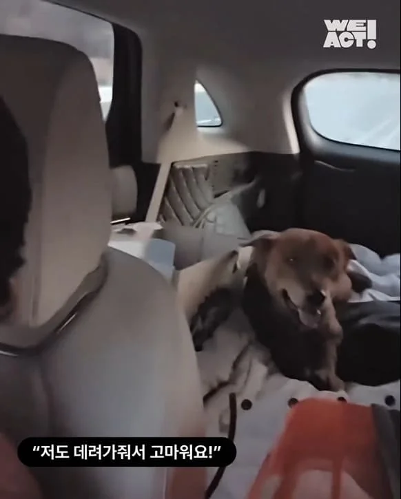 살아남아야 한다, 다시 한 번 현장 사진