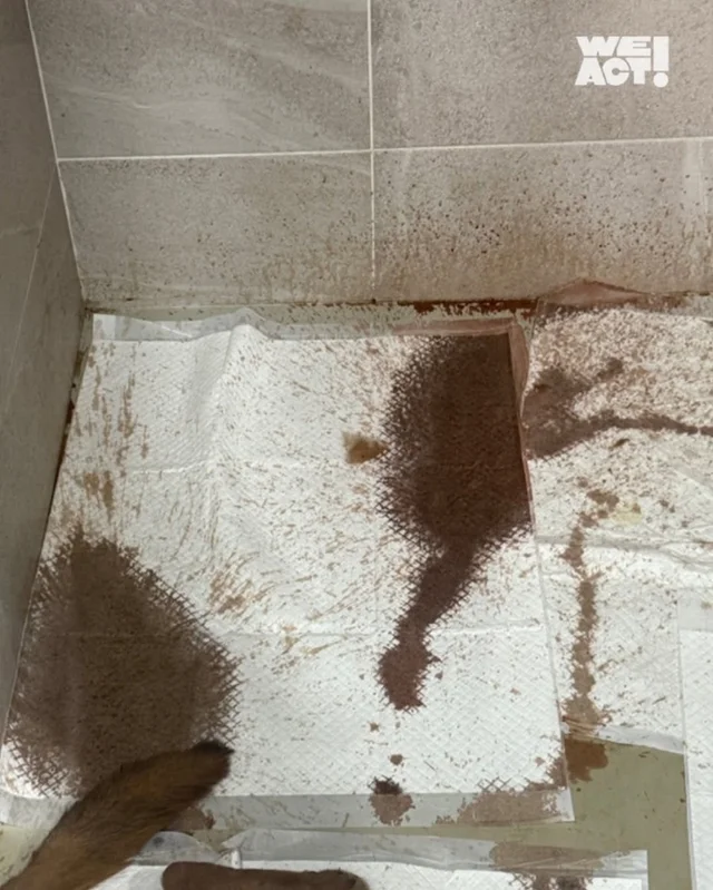 살아남아야 한다, 다시 한 번 현장 사진