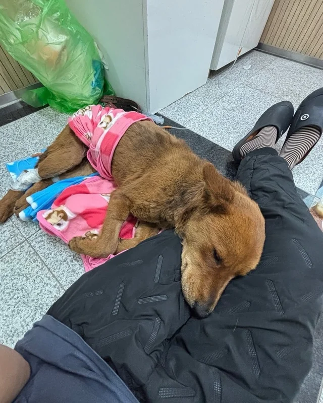 살아남아야 한다, 다시 한 번 현장 사진