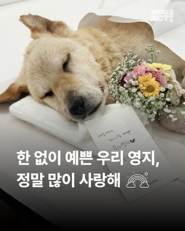 부디 인간을 용서하지 않기를.. #위액트영지 현장 사진