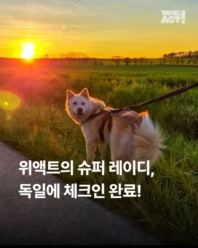 위액트의 슈퍼 레에디, 독일에서 체크인 완료 현장 사진
