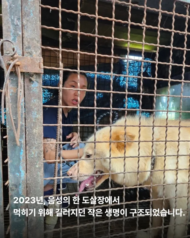위액트의 슈퍼 레에디, 독일에서 체크인 완료 현장 사진