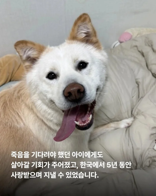 위액트의 슈퍼 레에디, 독일에서 체크인 완료 현장 사진
