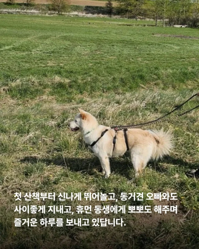 위액트의 슈퍼 레에디, 독일에서 체크인 완료 현장 사진