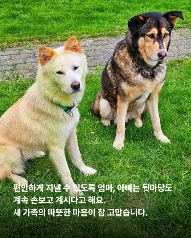위액트의 슈퍼 레에디, 독일에서 체크인 완료 현장 사진