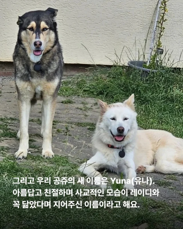 위액트의 슈퍼 레에디, 독일에서 체크인 완료 현장 사진