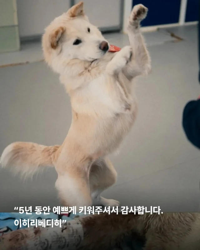 위액트의 슈퍼 레에디, 독일에서 체크인 완료 현장 사진