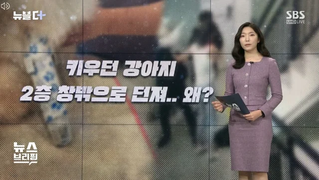 [뉴블더] 빌라 2층 창문에서 강아지 냅다 던져…"겁주.. 보도 사진