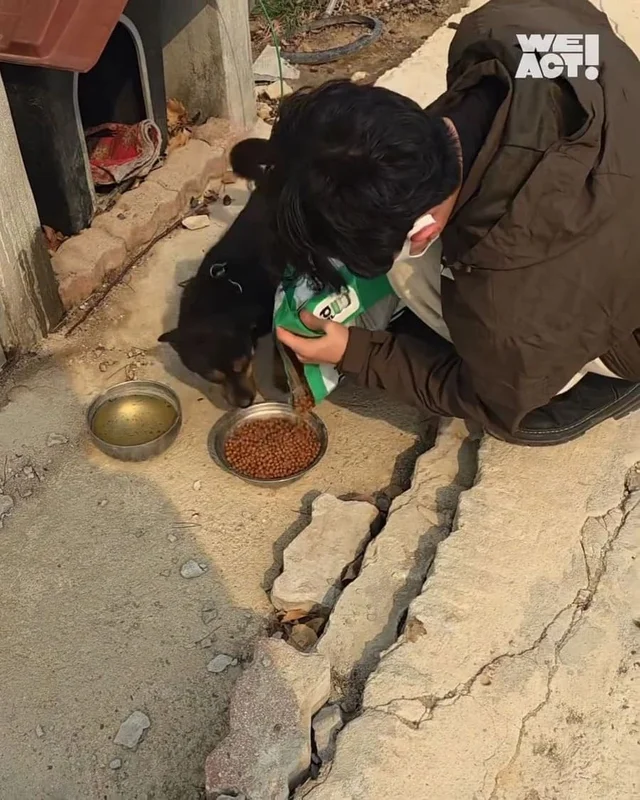 경북 산불 구조 현장 사진