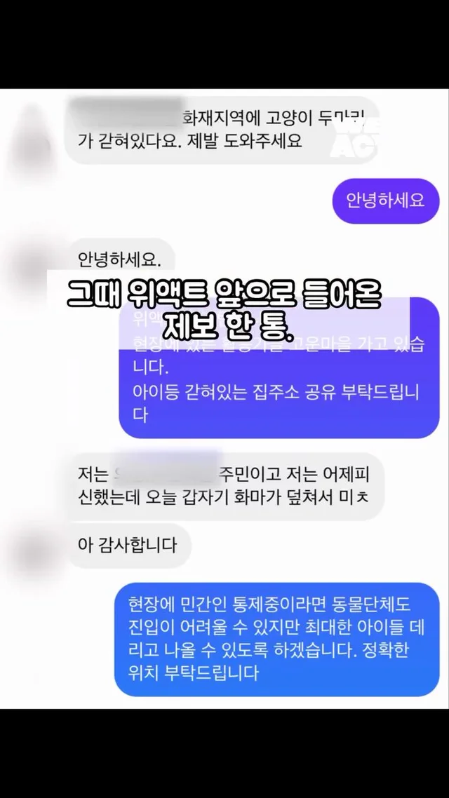 경북 산불 구조 현장 사진