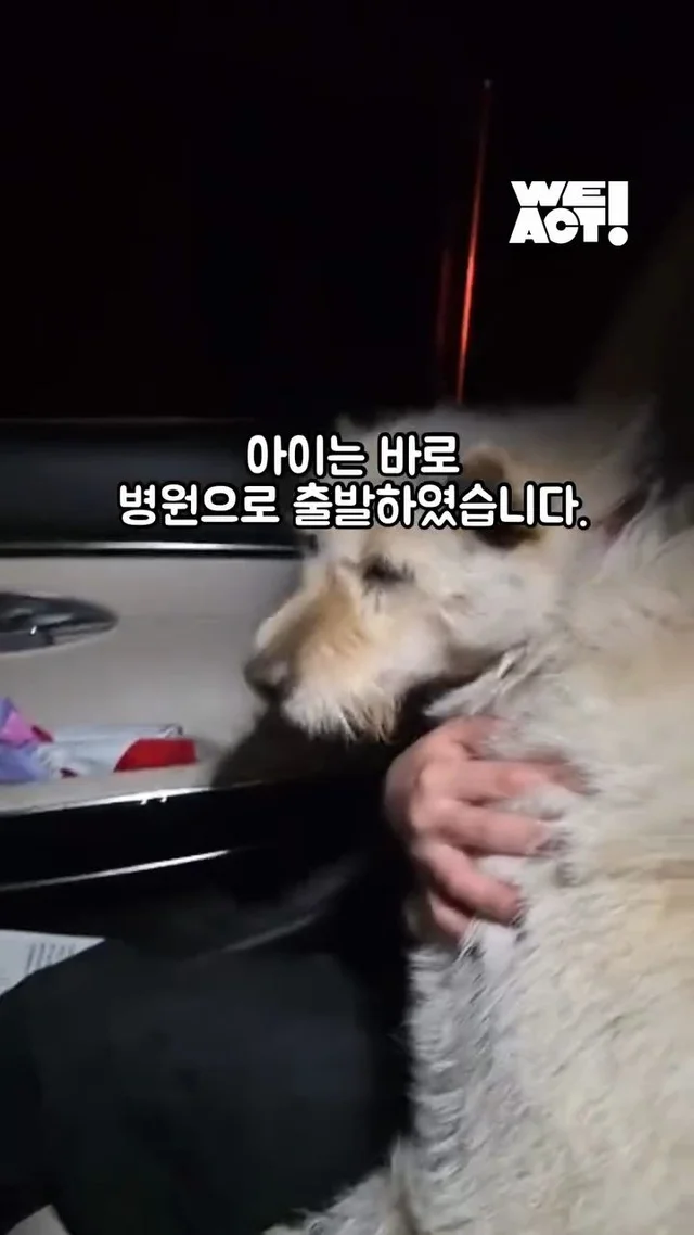 경북 산불 구조 현장 사진
