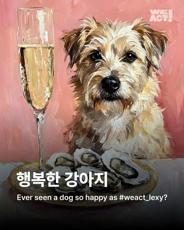 이렇게 행복한 강아지 처음 보세요 !? 현장 사진