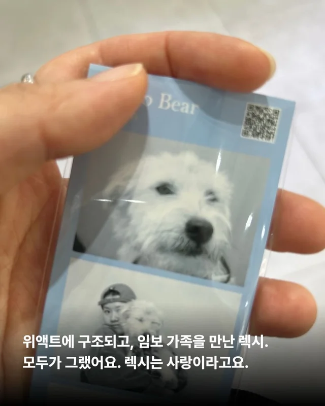 이렇게 행복한 강아지 처음 보세요 !? 현장 사진