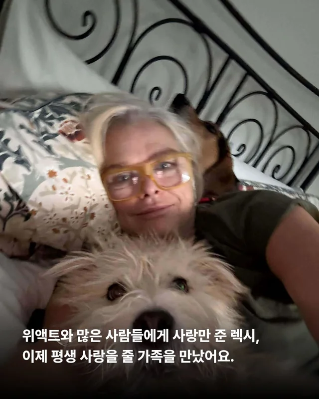 이렇게 행복한 강아지 처음 보세요 !? 현장 사진