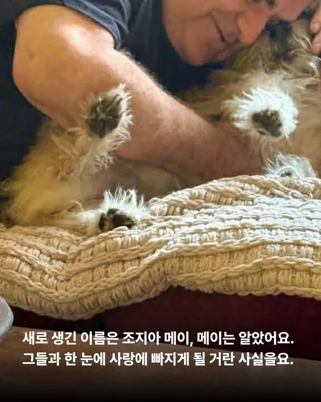 이렇게 행복한 강아지 처음 보세요 !? 현장 사진