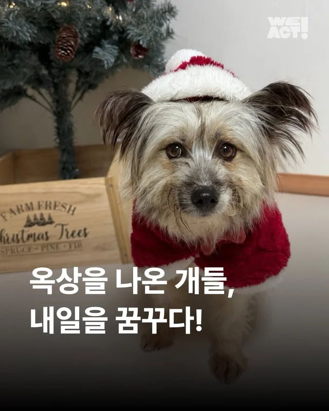 옥상을 나온 개들! 내일을 꿈꾸다. #위액트배트 #위액.. 현장 사진