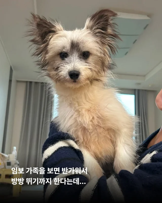 옥상을 나온 개들! 내일을 꿈꾸다. #위액트배트 #위액.. 현장 사진