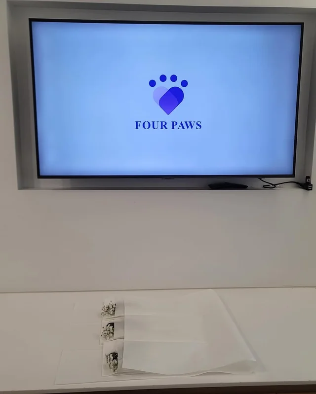 아가야 아가야 우리 아가야 현장 사진