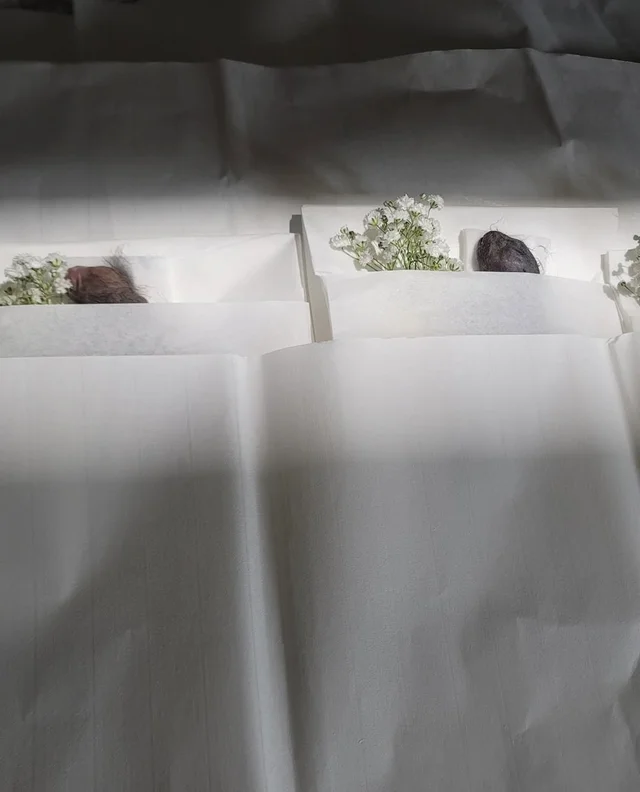 아가야 아가야 우리 아가야 현장 사진