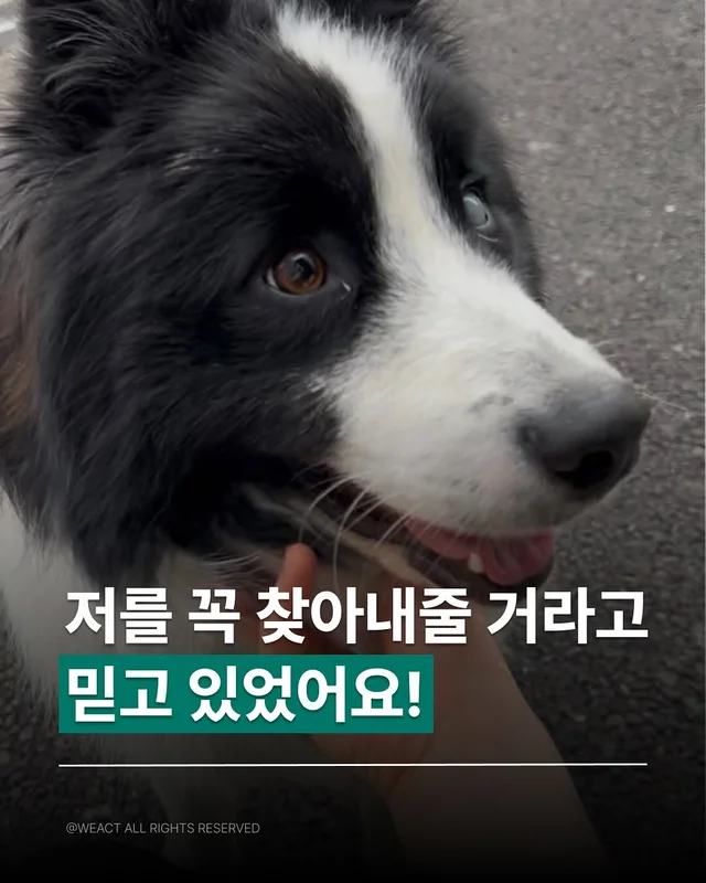경북 산청, 의성 구조 소식 현장 사진