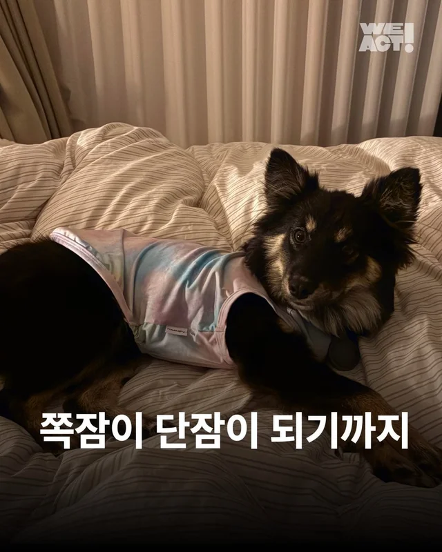 쪽잠이 단잠이 되기까지 현장 사진