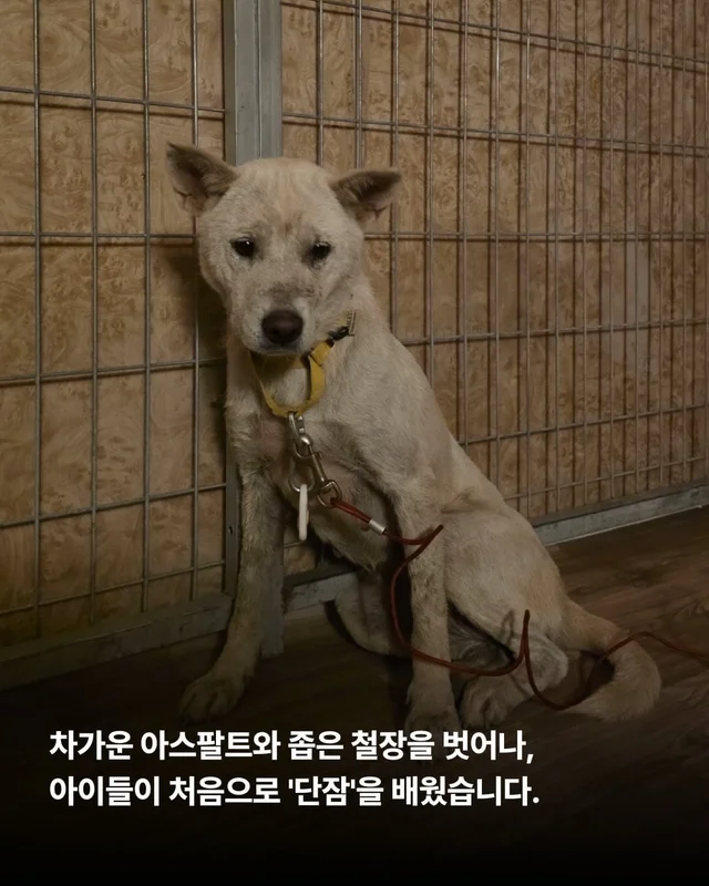 쪽잠이 단잠이 되기까지 현장 사진
