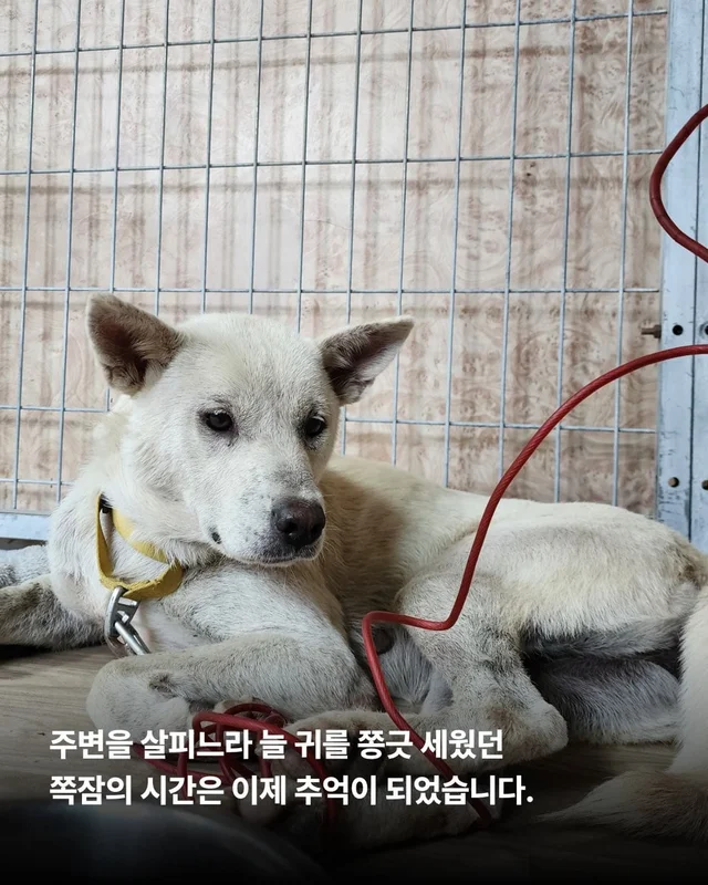 쪽잠이 단잠이 되기까지 현장 사진