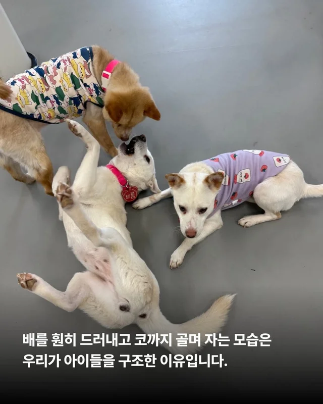 쪽잠이 단잠이 되기까지 현장 사진
