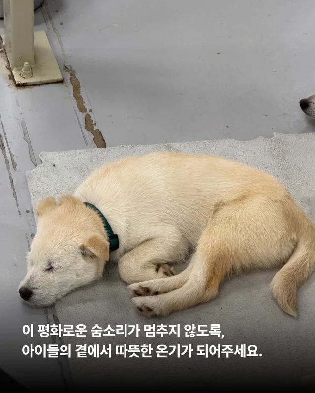 쪽잠이 단잠이 되기까지 현장 사진