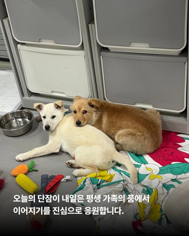 쪽잠이 단잠이 되기까지 현장 사진