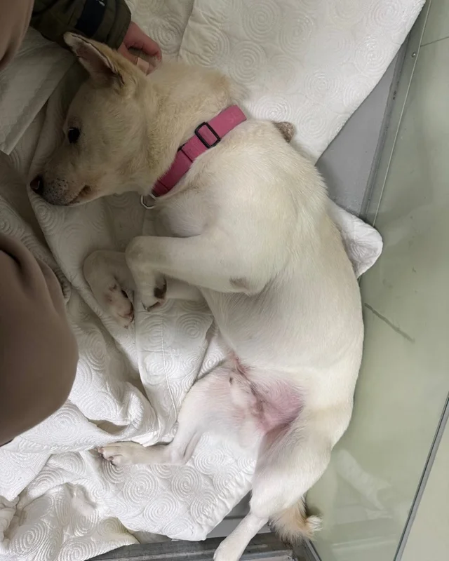 쪽잠이 단잠이 되기까지 현장 사진