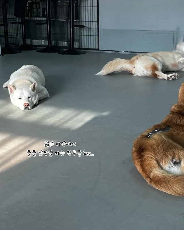 쪽잠이 단잠이 되기까지 현장 사진