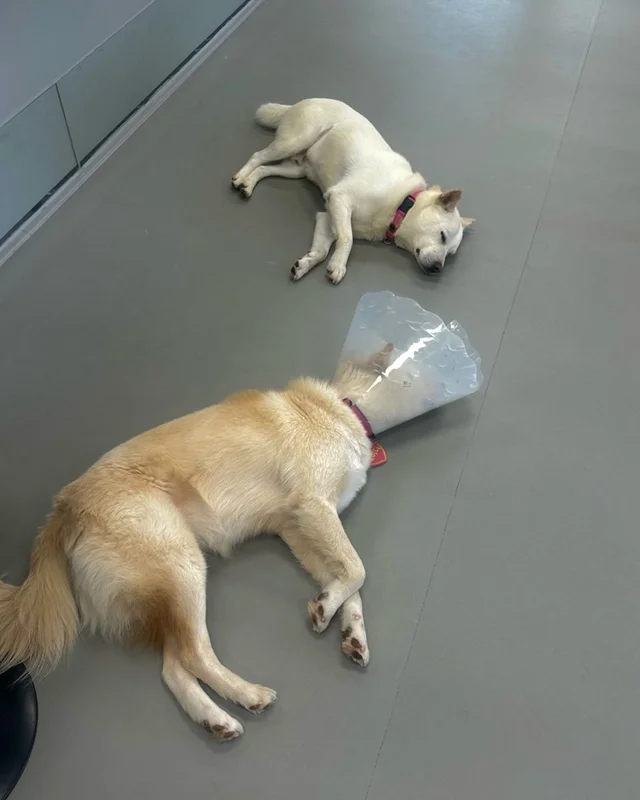쪽잠이 단잠이 되기까지 현장 사진