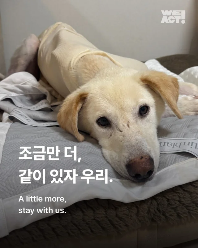 조금만 더, 우리 같이 있자 현장 사진