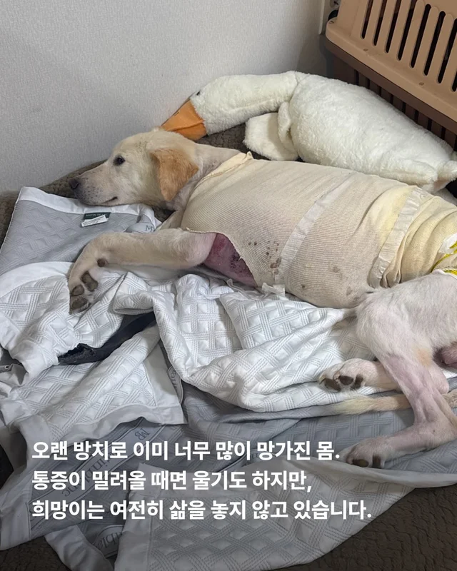 조금만 더, 우리 같이 있자 현장 사진