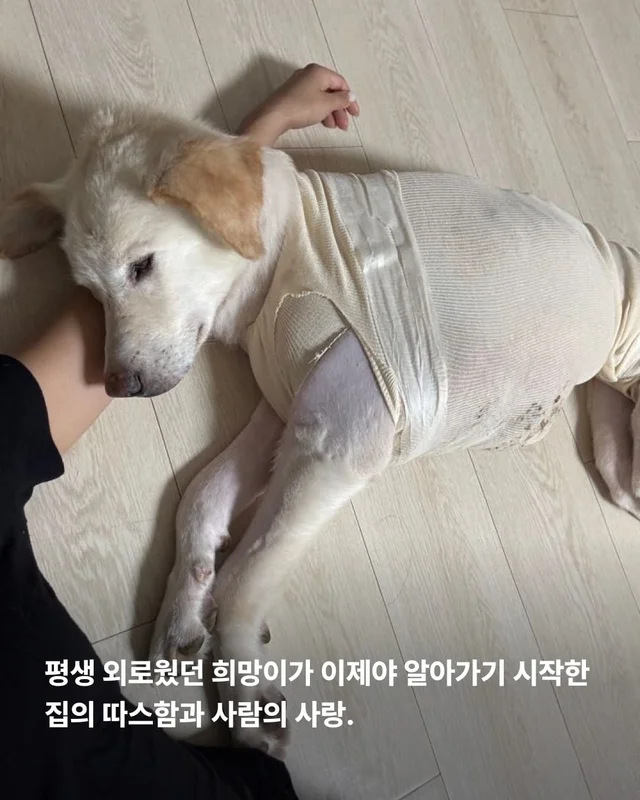 조금만 더, 우리 같이 있자 현장 사진