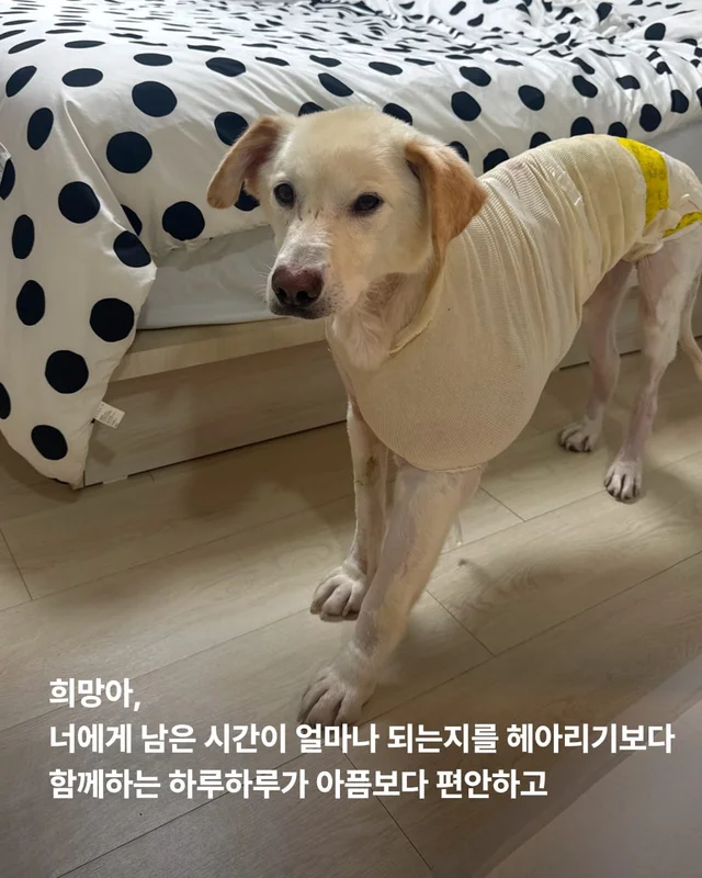 조금만 더, 우리 같이 있자 현장 사진