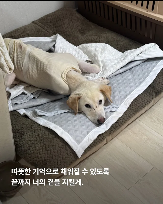 조금만 더, 우리 같이 있자 현장 사진