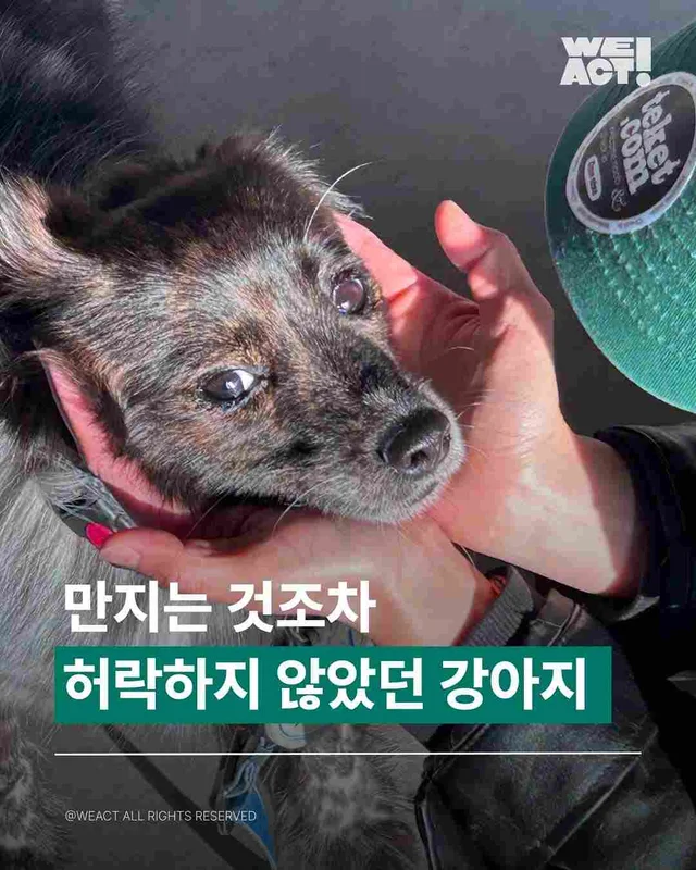 외양간에 방치된 아이들 - 위액트 페퍼 현장 사진