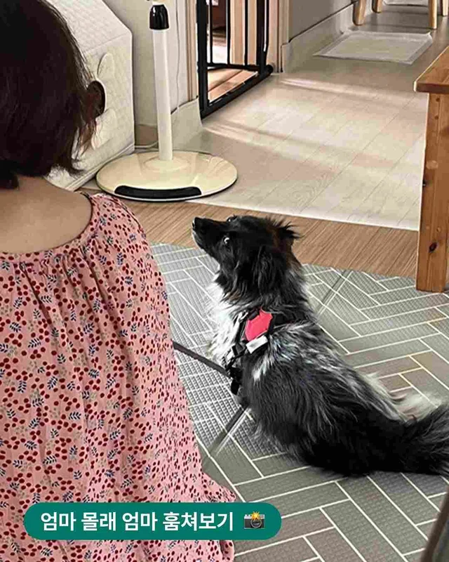 외양간에 방치된 아이들 - 위액트 페퍼 현장 사진