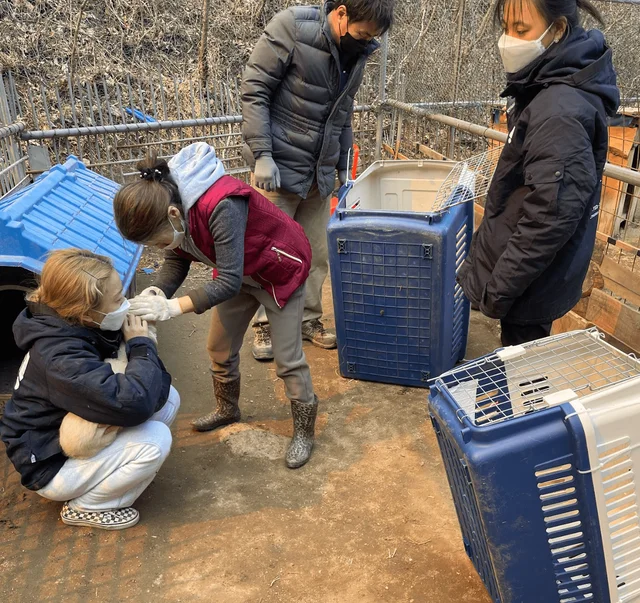울진산불구조견 현장 사진