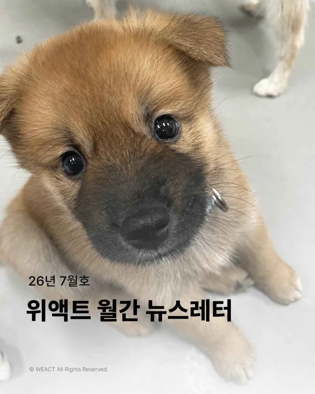 월간 위액트 7월호 현장 사진