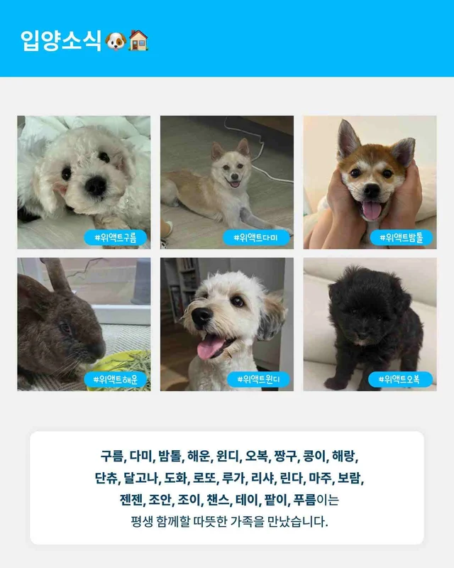 월간 위액트 7월호 현장 사진