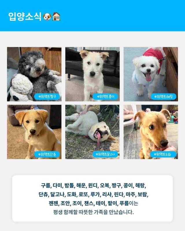 월간 위액트 7월호 현장 사진